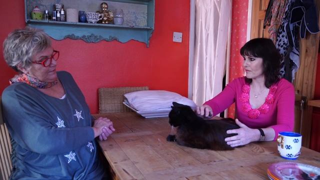 Pet Reading with Jezzy, a cat of senior years by Jackie Weaver' The Animal Psychic'. смотреть онлайн