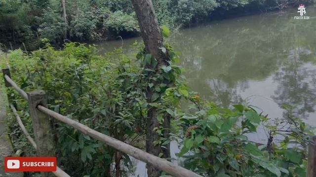 Kaziranga Orchid Park || Wildernest Resort || Sivasagar смотреть онлайн