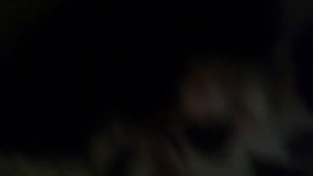 Маленькие Котята смотреть онлайн