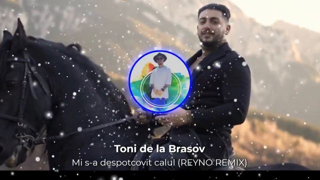 Toni de la Brasov - Mi s-a despotcovit calul (REYNO REMIX) смотреть онлайн