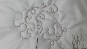 Важно знать тем, кто хочет легко освоить свободно ходовую стежку или квилтинг на швейной машинке.