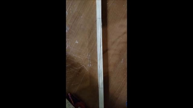Project Scallywag Part 1 смотреть онлайн