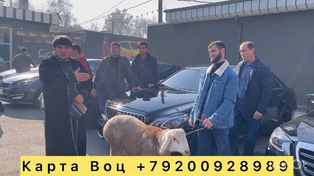 ШОХ ЧОИЗАХОИ БОЗИ МЕБАРАН ОШ ШАВАШОН ШЕРОИ НАР БОЗИ 12 БИЛЕТ ХСТ смотреть онлайн
