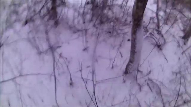 Охота на кабана 2 часть смотреть онлайн