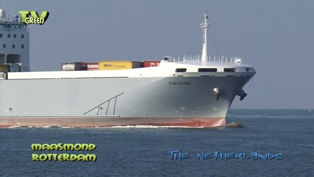 Maasgeul Hoek van Holland: Stena Shipping смотреть онлайн