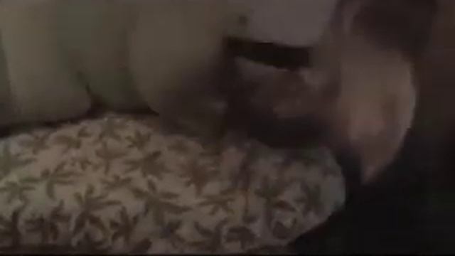 Турбомода "Мама", Пропоганда "кто", А.Романов "Пожалуйста, не плачь" смотреть онлайн