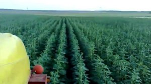 опрыскиватель самоходный на базе Т-16