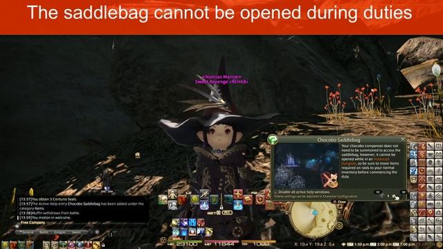 FFXIV How to use Chocobo Saddlebag Guide - Stormblood смотреть онлайн