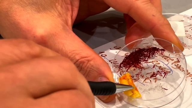 Эти продукты убили все грибы, а значит и всю плесень 100% смотреть онлайн