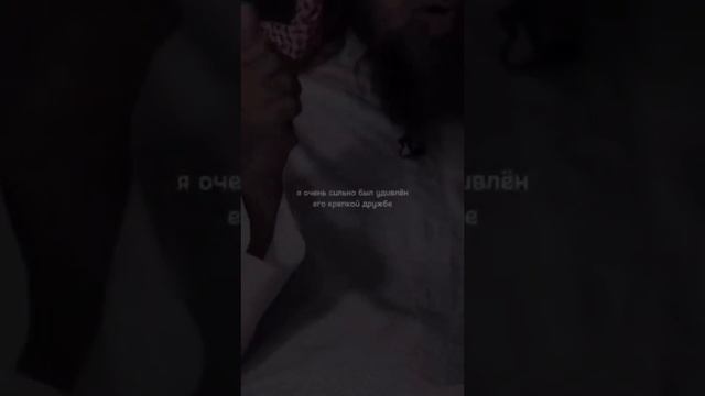 история про настоящую дружбу. До слез смотреть онлайн