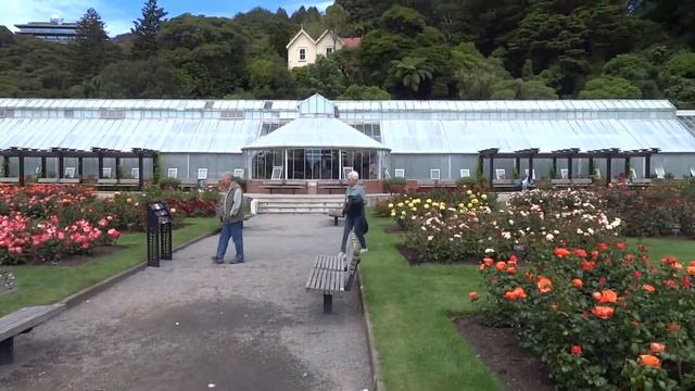La roseraie du jardin botanique de Wellington смотреть онлайн