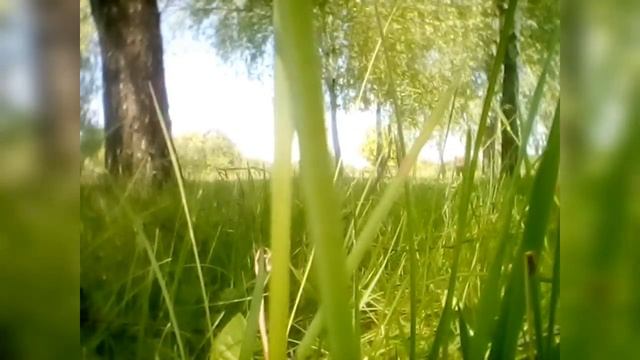 Подготовка к плаванию после инсульта. смотреть онлайн