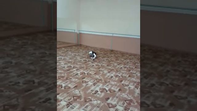 Отработка упражнения без предмета по художественной гимнастике смотреть онлайн