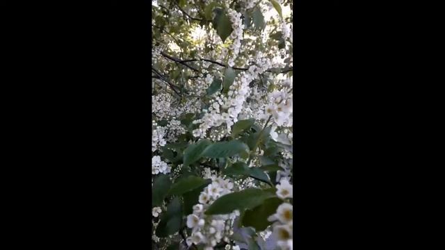 Не все клюют на лесть смотреть онлайн
