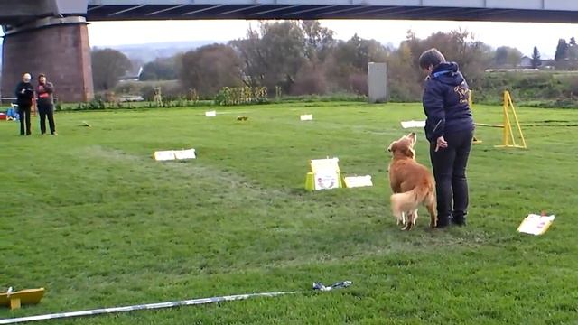 26.10.14 Holzminden Christiane & Camillo смотреть онлайн