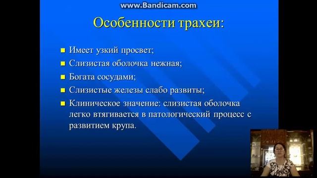 Анатомо физиологические особенности органов дыхания смотреть онлайн