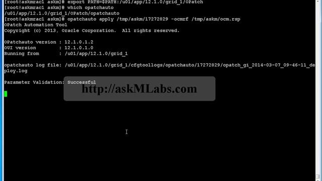 rac 121011 psu patch standard cluster NoACFS Apply part1 смотреть онлайн