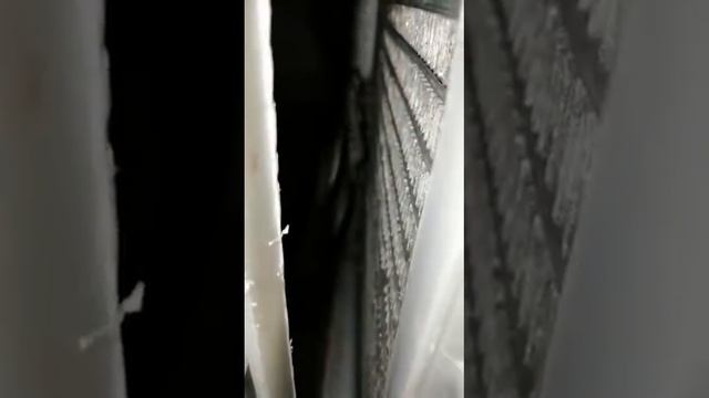 Тойта Королла Спасио 1998год. Салонный фильтр, установленный самостоятельно. Два года спустя. смотреть онлайн