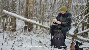 Обновляю солонцы на зайца