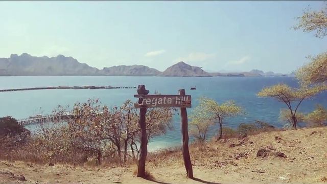 #TripofWonders Day 8: Komodo National Park (Part 1) | Wonderful Indonesia смотреть онлайн