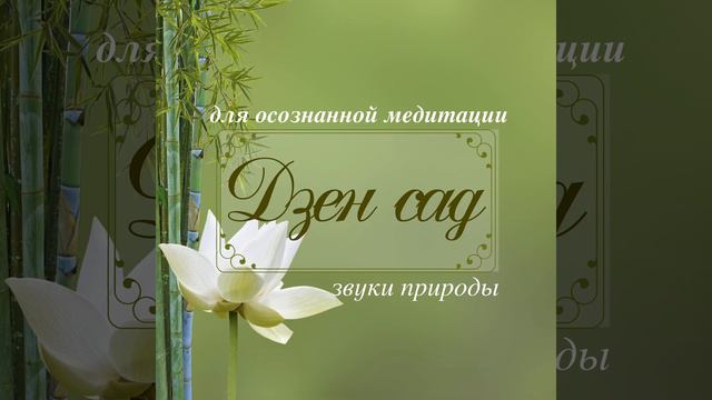 Звуки природы смотреть онлайн