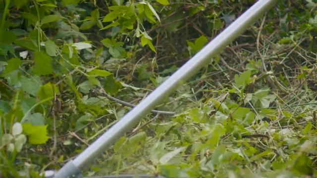 Weed Warrior: Brush Cutter, Universal Fit Bladed Trimmer Head смотреть онлайн