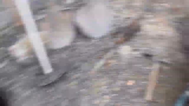 Навес для авто на сваях . И деревянных столбах своими руками. смотреть онлайн