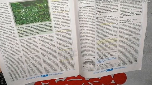Татьяна.А зубик оставь мышке/Снег летит такой, что не даёт открыть глаза нараспашку.