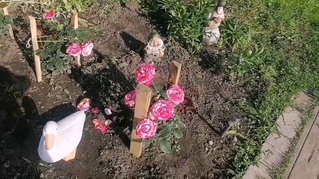 ВЛОГ! ОТДЫХАЕМ НА ДАЧЕ/ПОДАРИЛ ТЕЛЕФОН??/ПОКРЕСТИЛИ ТИМУРА смотреть онлайн