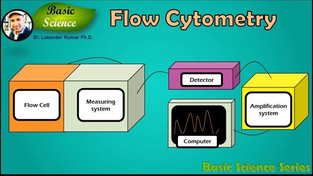 Flow Cytometry | Cell counting | Cell Sorting | Scattering | Basic Science Series смотреть онлайн