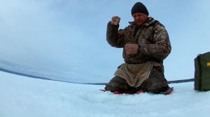 Как ловить много рыбы зимой. Подлещик, густера