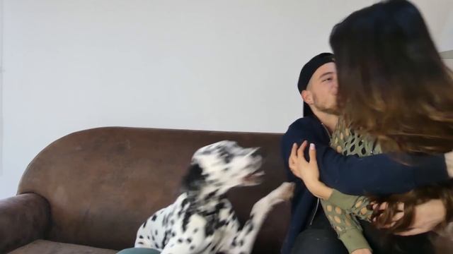 MON CHIEN EST JALOUX QUAND J'EMBRASSE MON COPAIN - LAUREN CRUZ