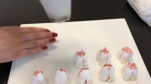 Зефирные тюльпаны?Секреты отсадки зефирных тюльпанов. Почему не получаются зефирные тюльпаны?