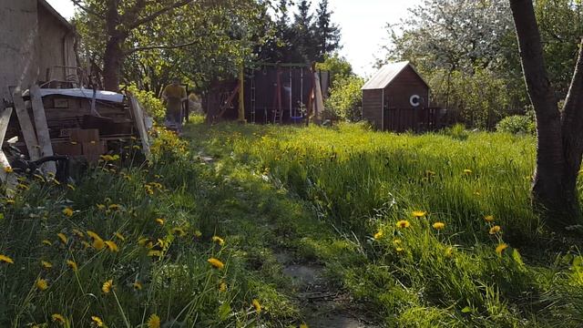 Всё про Дачу Газонокосилка..Германия... смотреть онлайн