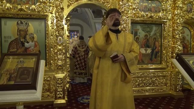 Прямая трансляция | Божественная литургия. Митрополит Иларион. 24.12.2020 смотреть онлайн