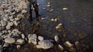 Ловля ФОРЕЛИ в Краснодарском крае. ЛУЧШИЙ стример для радужки и кумжи.