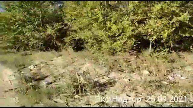 Кутургу аилы, Чуда вода жол.25.09.2021. смотреть онлайн