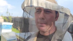 Карника бакфаст или карпатка есть ли разница забрал корма из гнезда пчёлы голодают или нет   ☝️?✅