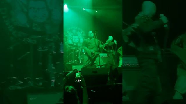 Тролль Гнёт Ель, Я люблю зеленый смотреть онлайн