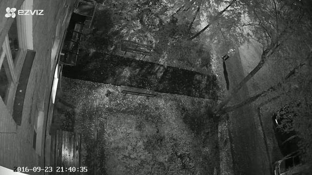 Камера EZVIZ C3S. Ночь, гуляют с собакой. ИК включено смотреть онлайн