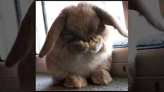 Любите близких. смотреть онлайн