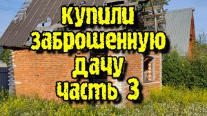 Купили заброшенную дачу.