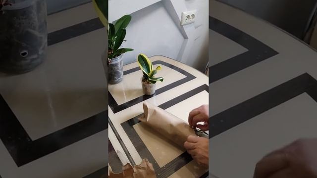 Новиночки. Sogo Venlin 