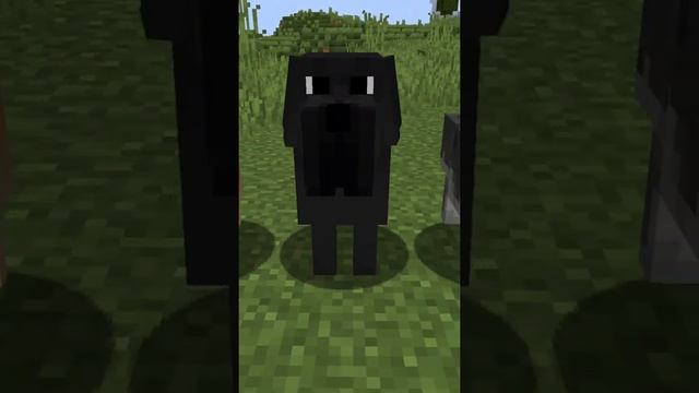 ПОРОДЫ СОБАК В Minecraftе | Minecraft улучшение смотреть онлайн