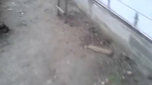 Дом из газоблока своими руками. Сколько стоит дом из газоблока. смотреть онлайн