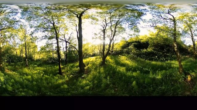 Calming Meditation Music to Feel Good Naturally in 3D смотреть онлайн