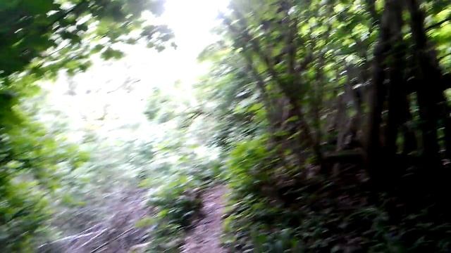 В поисках родника под ЦУМом