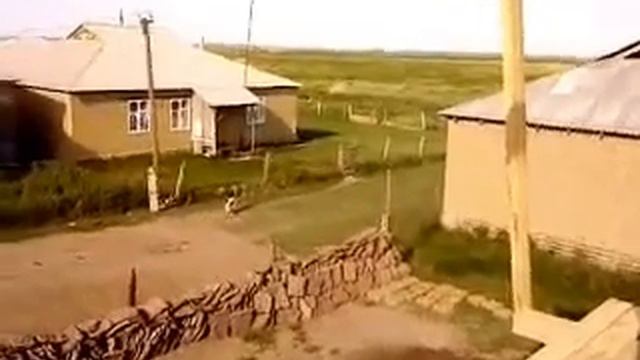 Бешеный баран смотреть онлайн