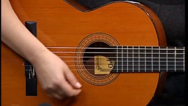 "ПОДЫХ СТРУН". "Ты поливал меня мертвой водой" - Екатерина Воркалова смотреть онлайн