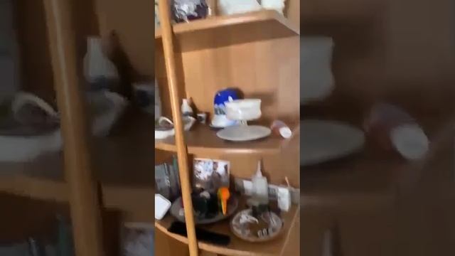 Беженцы в Германии разнесли очередную квартиру